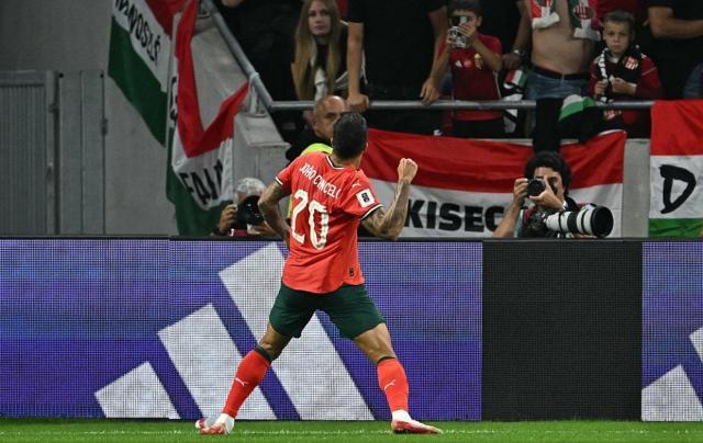 1757457605569030315.jpg 1337118-com-muito-coracao.jpg